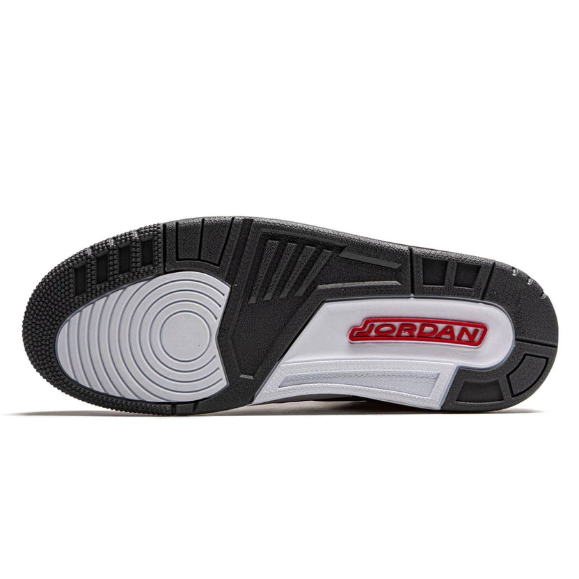 Jordan 3 Retro 'Cool Grey' (2021)